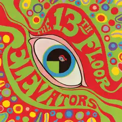 The Psychedelic Sounds of the 13th Floor Elevators - 13th Floor Elevators