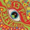 Don't Fall Down (Mono LP Version) - 13th Floor Elevators lyrics