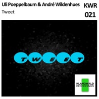 Tweet - Single - Uli Poeppelbaum & André Wildenhues