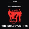 The Shadow's Hits, 2012