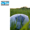 Antenne Düsseldorf: Fortuna-Podcast