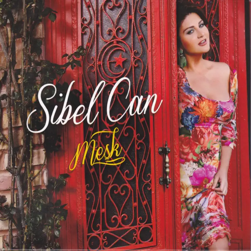 Sibel Can Ne Oldu Sana