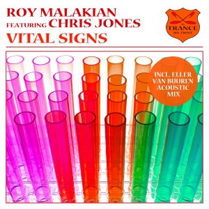 Vital Signs (feat. Chris Jones) - Single (Eller Van Buuren Acoustic Mix)