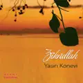 Hay Allah
