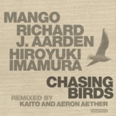 Chasing Birds - EP artwork