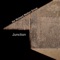 Golden Lady (Remastered) - Richard Walton Group lyrics