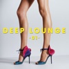 Fritz Kalkbrenner Crossing Borders (Pleasurekraft Remix) [feat. Fritz Kalkbrenner] Deep Lounge 01