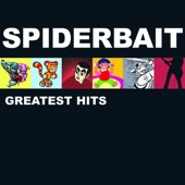 Stevie - Spiderbait