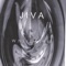 Hypnotized - JIVA lyrics