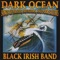 Drunken Sailor - Black Irish Band lyrics