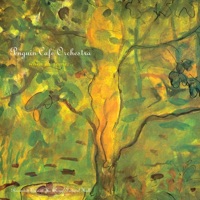 Penguin Cafe Orchestra - From the Colonies (Live)