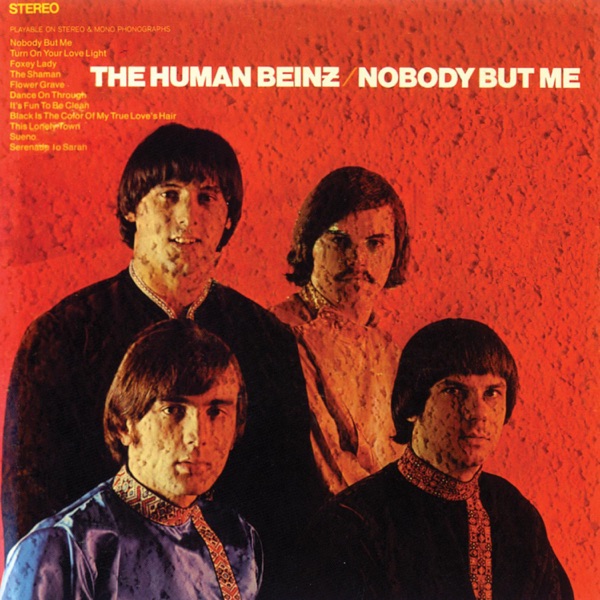 Human Beinz - Nobody But Me