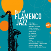 Best of Flamenco Jazz, Vol. 2 - Various Artists