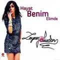 BIR COCUK SEVDIM