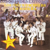 Los Churumbeles de España - Las Bodas de Luis Alonso