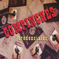 Credenciales - Compinches