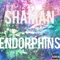 Endorphins - Shaman lyrics