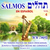 Tehilim Salmos en Español, Vol. 4 artwork