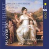 Christian Zacharias Sonata in a Major, D 959: II. Andantino Schubert: Piano Music, Sonata D 959 a Major