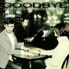 Goodbye - Single