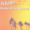 True Story (The Bay Street Song) - PJ Elliott lyrics