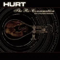 The Re-Consumation - Hurt