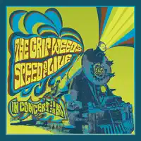 (So You Want To Be a) Rock n Roll Star — The Grip Weeds