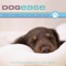 True Bliss (feat. Dr. Lee R. Bartel) - Somerset lyrics
