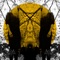 Shoot the Water - Austra lyrics