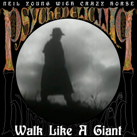 Cover artwork for Walk Like a Giant