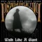 Walk Like a Giant - Neil Young & Crazy Horse lyrics