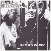 The Mr. T Experience - Sex Offender