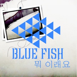 뭐 이래요 Bluefish