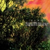 SOUTH BLOW