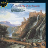String Sonata No. 6 in D Major: III. Allegro: Tempesta
