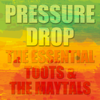 Monkey Man - Toots & The Maytals