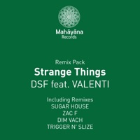 Strange Things (Remixes) (feat. Valenti) - EP - DSF