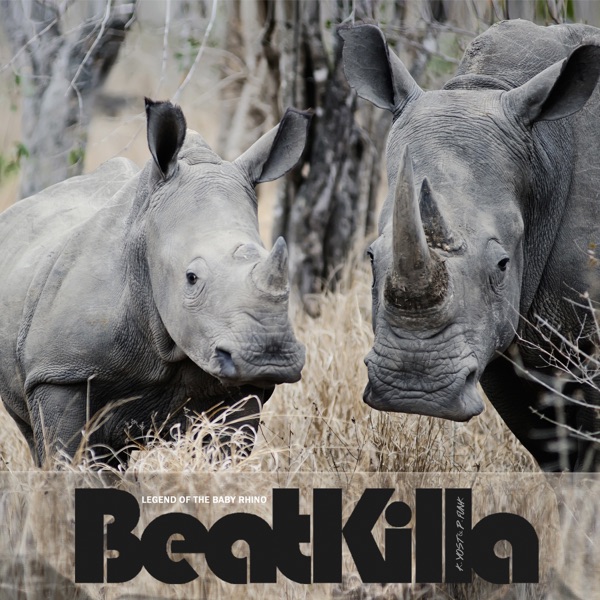 Legend of the Baby Rhino