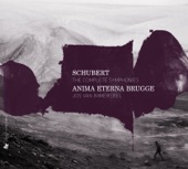 Anima Eterna Brugge, Collegium Vocale Gent, Cantate Domino & Jos van Immerseel - Sinfonie Nr. 2 in H-Be Dur, D. 125: II. Andante