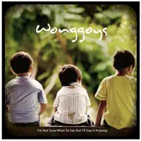 Fb — Wonggoys