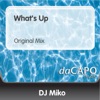 DJ Miko - What's Up