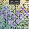 Arp Attack