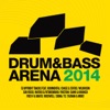 Drum & Bass Arena 2014, 2014