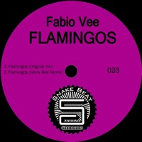 Flamingos - Single - Fabio Vee