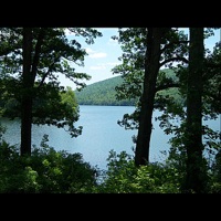 Bells of Dawn - Mark Arnold