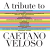 A Tribute To Caetano Velosó