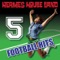 I Will Survive - Hermes House Band lyrics