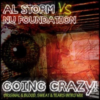 Going Crazy - Single - Al Storm & Nu Foundation