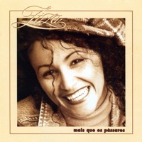 Mais Que os Pássaros - Ziza Fernandes