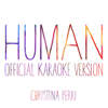 Human (Official Karaoke Version) - Christina Perri